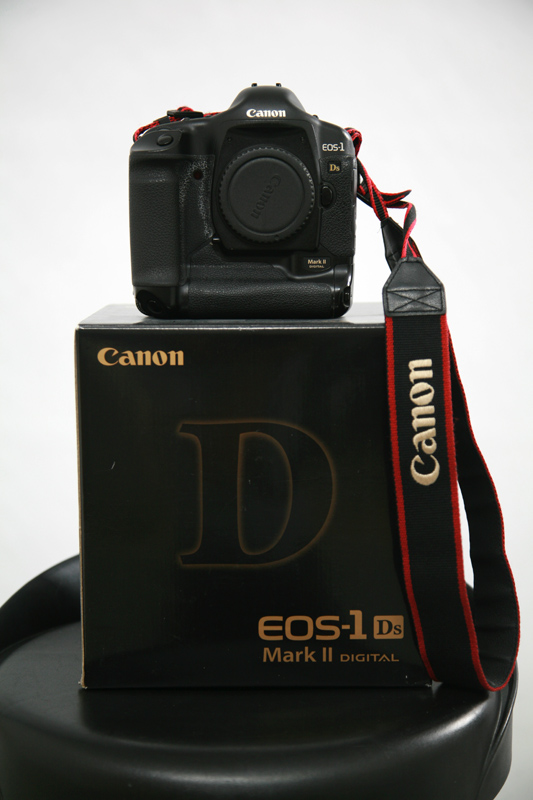 1ds.jpg