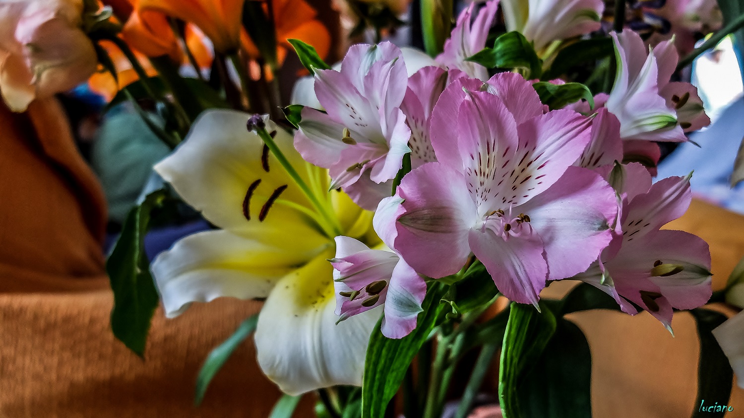 2- 6-4-15 lightroon 5-34.jpg