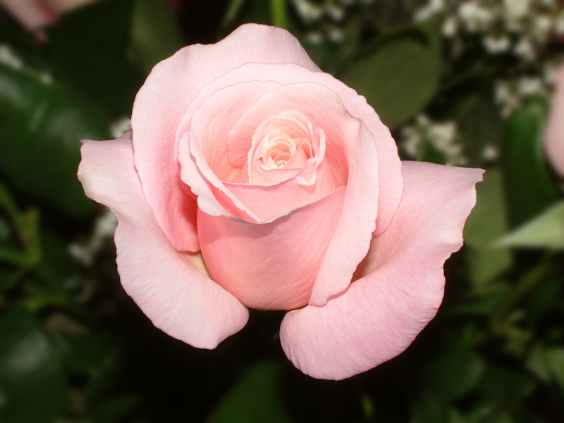 2004_1227_000534AA-modWeb.jpg