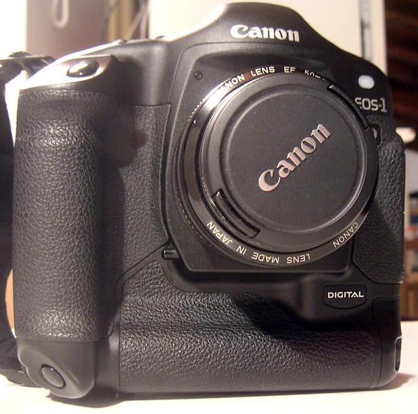 2005 Ottobre 27 Foto alla 1D 028 3.JPG