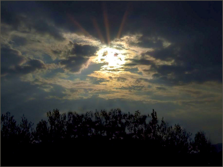 2007_06090014_990b.jpg