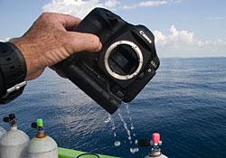 200802_photography[1].jpg