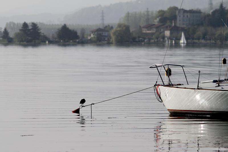 200mm1.jpg