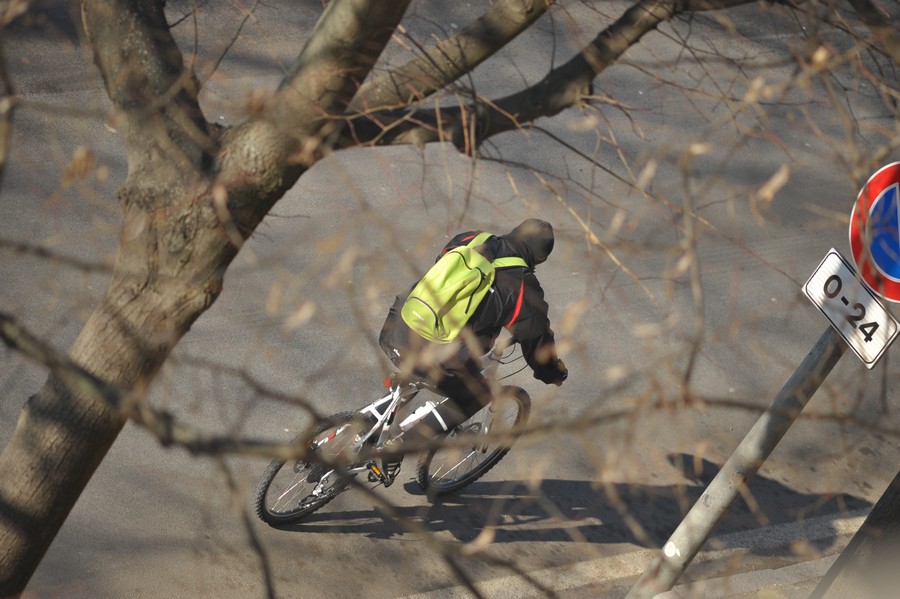 200mm f2 ai D700.jpg