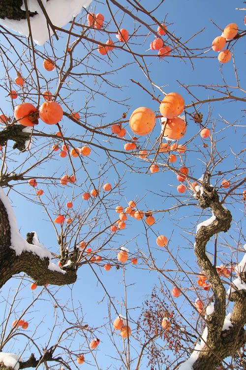 2010_12_18_2827.jpg