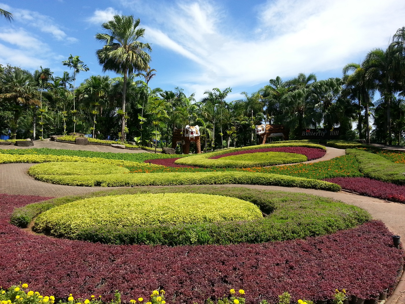 20130922_141740f.jpg