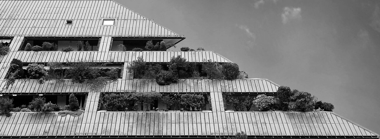 20141005_090735_Richtone(HDR)rifatta1300B-N.jpg