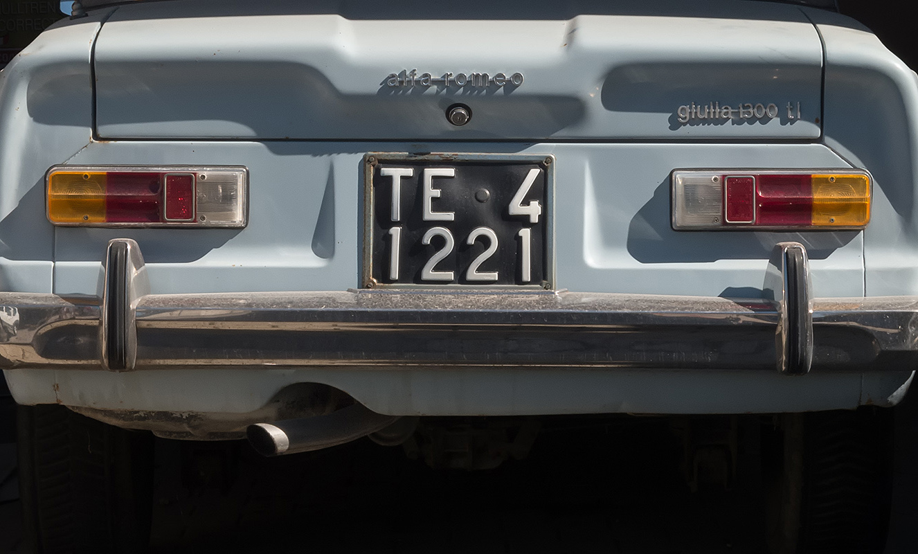 2016DSCN4341_MODIFICATA_TAGLIATA.jpg