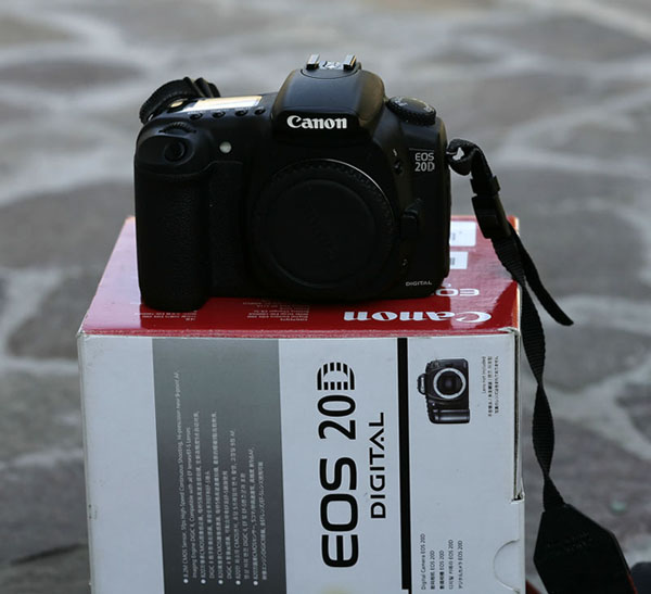 20d.jpg