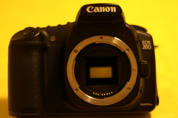 20d_1.jpg