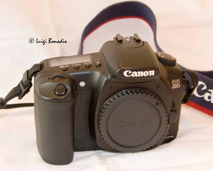 20d.jpg