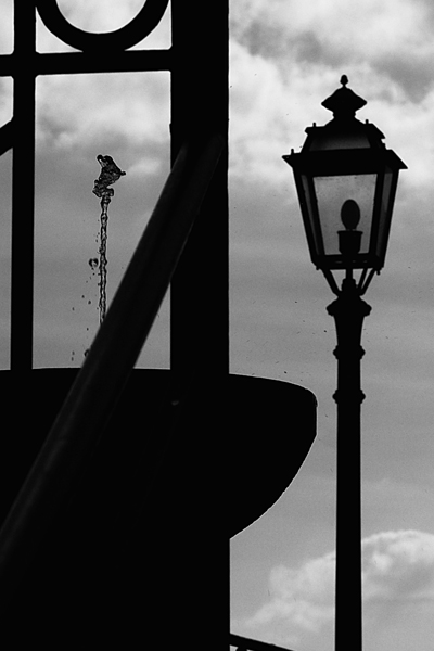 210_1038-copia.jpg
