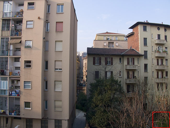 24,5 mm..jpg