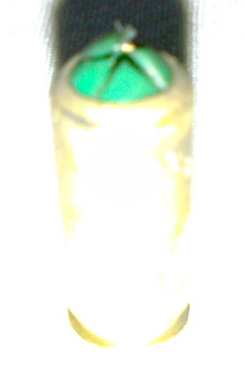29052013762_.jpg