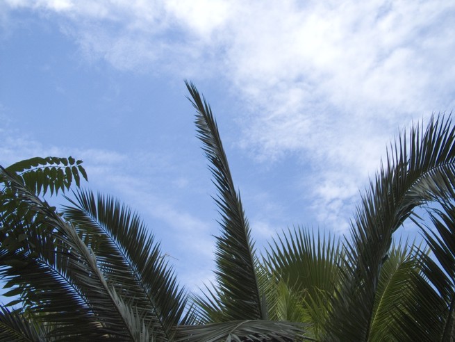 2 camera raw.jpg