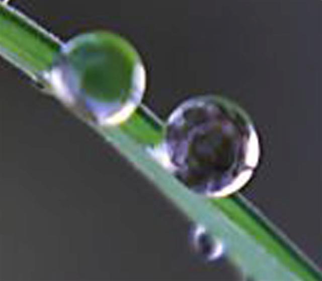 2 copia (Small).jpg