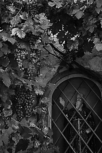 3Santi in gabbia.jpg