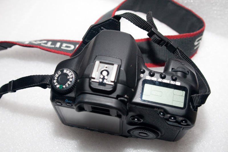 40d-2.jpg