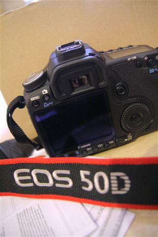 50D! (3).jpg