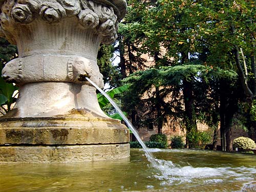 5534-500.jpg