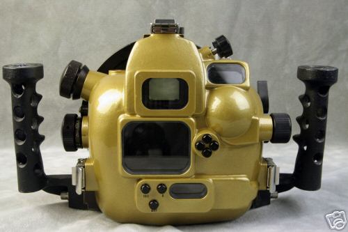 6f_12_sb.jpg