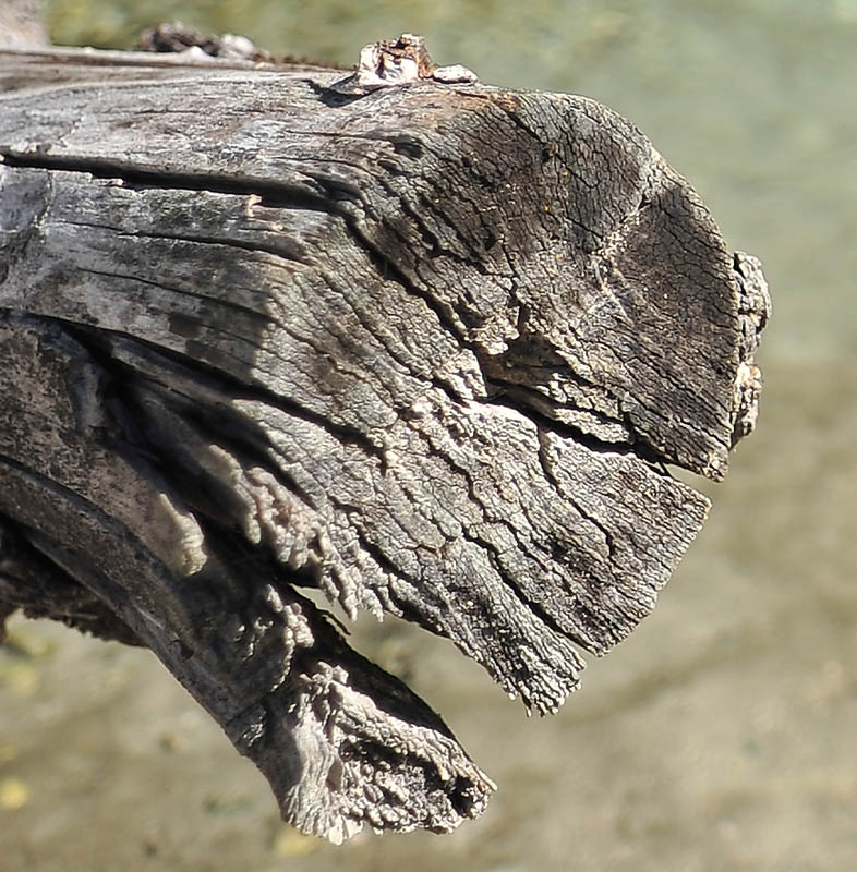 701_5746 f2,8 crop.jpg