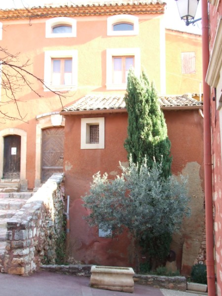 +- 0 (450 x 600).jpg