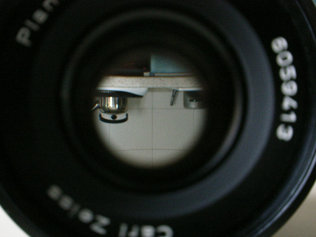 _0017731.JPG
