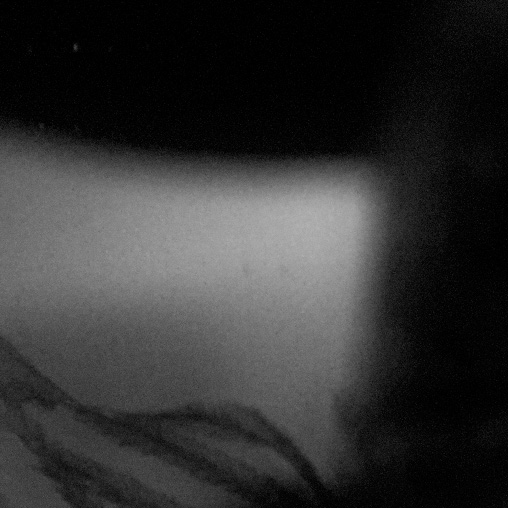_12-02-1000187crop.jpg