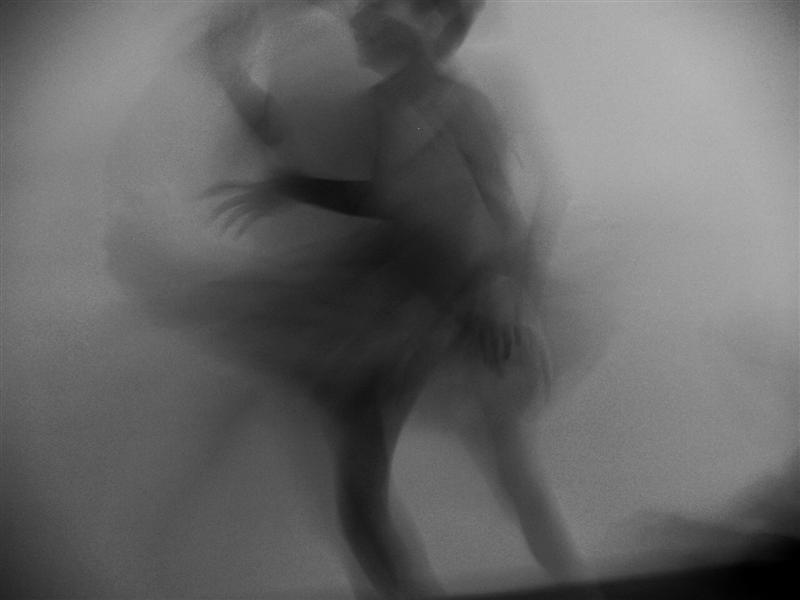 _6060106 (Medium).JPG