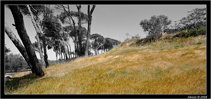 _DSC0005DP_200k-copia.jpg