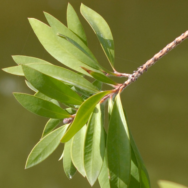 _DSC0363lowweb.jpg