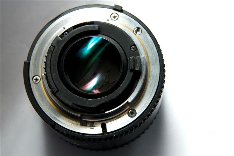 _DSC4053 (Medium).JPG