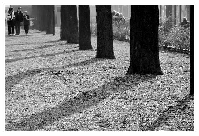 _DSC4104_bw_4.jpg