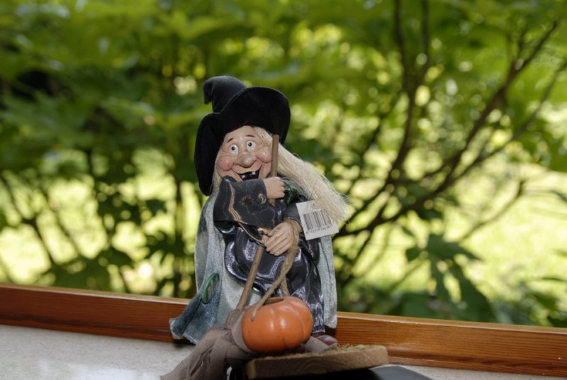 _DSC5999 [800x600].jpg