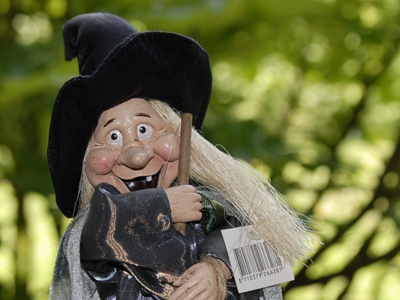 _DSC5999crop28 [800x600].jpg