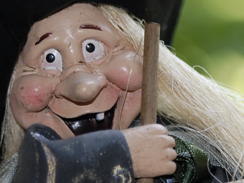 _DSC6000crop75 [800x600].jpg