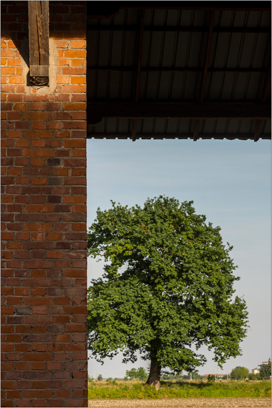 _DSC7062-Colore-copia.jpg