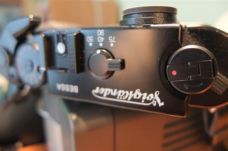 _DSF6657 (Medium).JPG