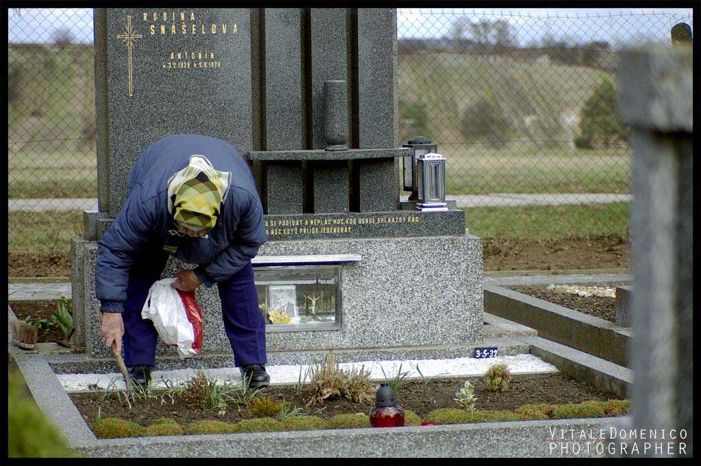 _IGP5197photo.jpg