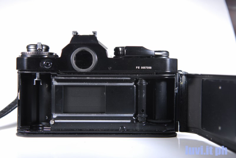 _LUV0589 [800x600].jpg