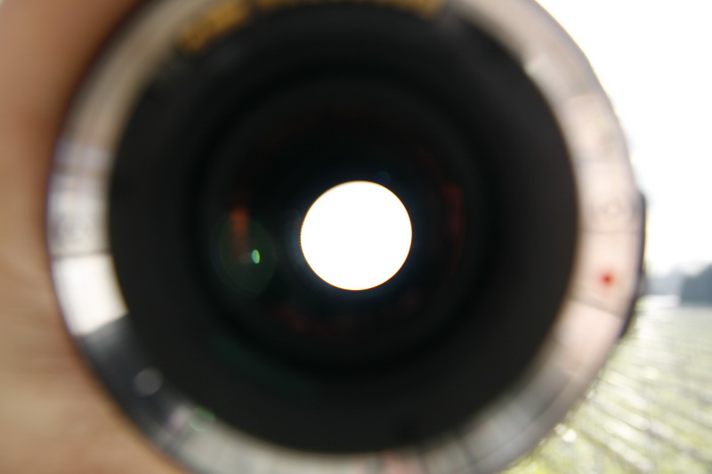 _MG_0007.JPG