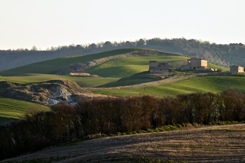 _MG_0067.jpg
