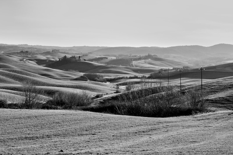 _MG_0076.jpg