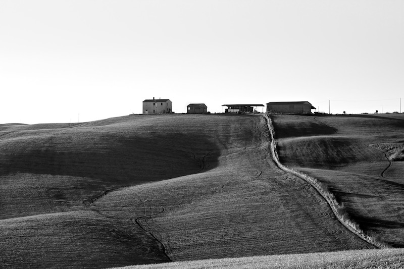 _MG_0077.jpg