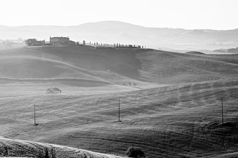 _MG_0308.jpg