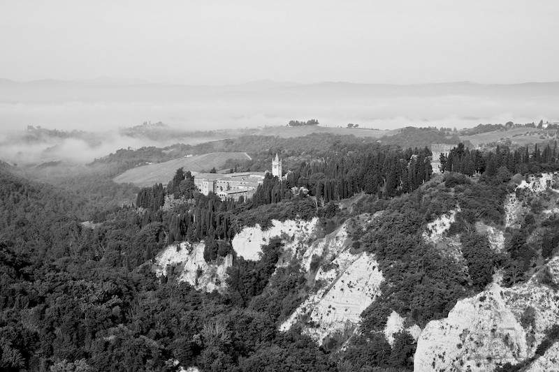 _MG_0332 - Version 2.jpg