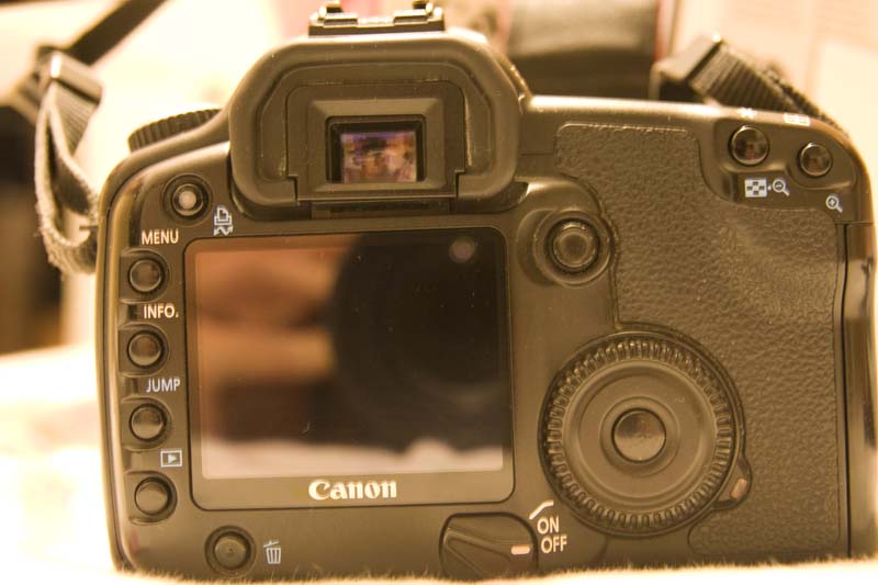 _MG_0429.jpg
