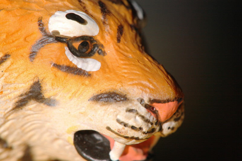 _MG_0785.jpg