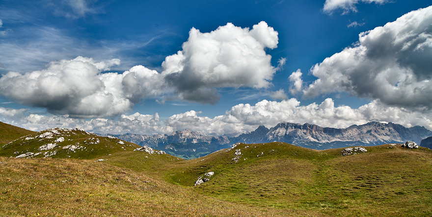 _MG_0847--oggetto-avanzato-Alce2-piccola.jpg
